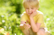 © Maria Sbytova - Little child picking sweet wild strawberry in domestic garden.
