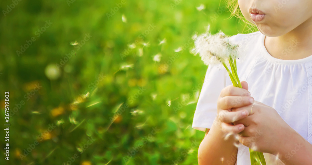 girl blowing dandelions in the air. selective focus. - obrazy, fototapety, plakaty 
