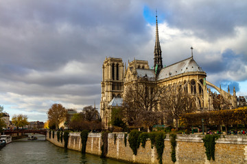 Wall Mural - Notre Dame de Paris Cathedral