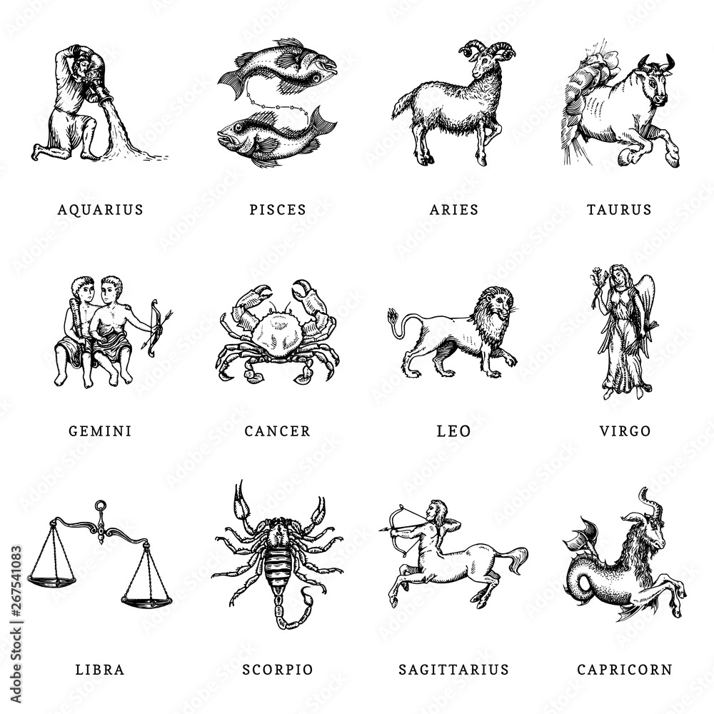 Zodiac symbols set, hand drawn in engraving style. Vector graphic retro ...