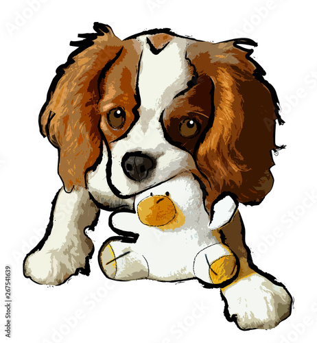 Fotografía chiot cavalier king charles