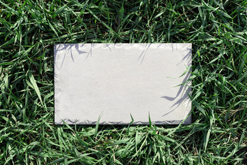 Gray concrete rectangular plate in fresh green lush grass on a sunny bright lawn.