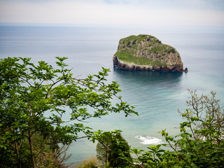 a quiet beach surrounded by greenery