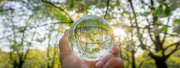 A hand holding a crystal ball for optical illusion. Known as an orbuculum, is a crystal or glass ball and common fortune telling object. Performance of clairvoyance and scrying