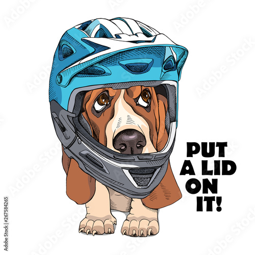 full face dog helmet