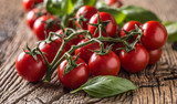 Fototapeta Kuchnia - Fresh bunch of ripe tomatoes with basil leaves on old oak table