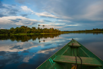 Wall Mural - View from the boat at Amazon river, with a dense forest on the shore and blue sky, Anazonas, Brazil