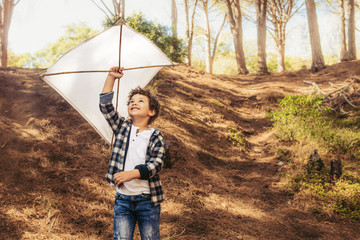 Poster - Cute boy flying a kite
