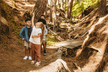 Poster - Children in the woods