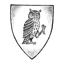 Animal For Heraldry In Vintage Style. Engraved Coat Of Arms With Owl Bird. Medieval Emblems And The Logo Of The Fantasy Kingdom.