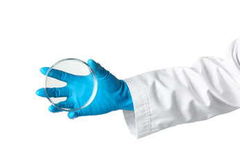 Wall Mural - Scientist holding clean Petri dish on white background. Chemical research