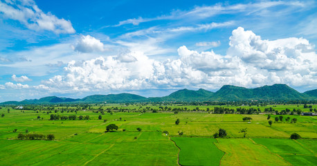 green rice field mountain landscape Thailand