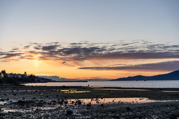 Wall Mural - sunset on beach