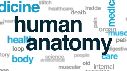 Poster - Human anatomy animated word cloud. Kinetic typography.