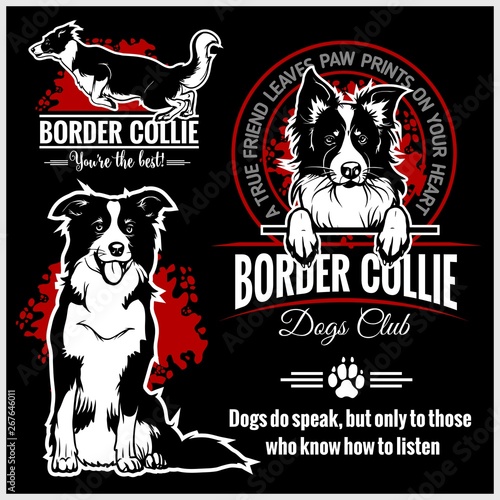 Cuadros en Lienzo Border Collie - vector set for t-shirt, logo and template badges
