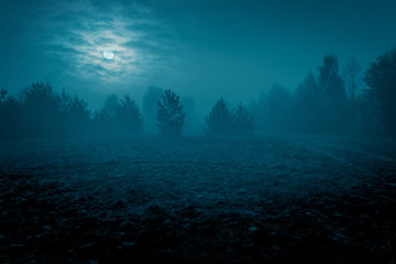 Mysterious landscape in cold tones - silhouettes of the trees on the night meadow under the full moon and dramatic night cloudy sky.