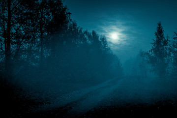 Mysterious landscape in cold tones - silhouettes of the trees along night rural road under the full moon through dramatic cloudy sky.