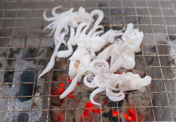 Wall Mural - Street foods - Grilled squid,Squid eggs.