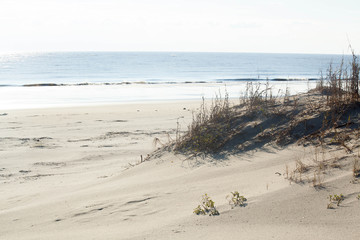 Sand dunes at the ocean