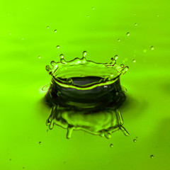 Wall Mural - Close up of water droplet or splash-Image, green backgroung