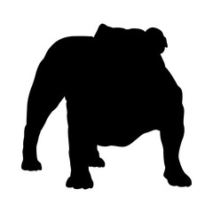 Wall Mural - Bulldog Dog Silhouette