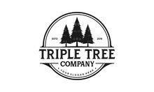 Triple Tree Logo Design. Pine Forest Vector Illustration