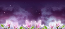 Fantasy Background Of Magical Night Sky With Shining Stars, Mysterious Clouds And Pink Magnolia Flowers