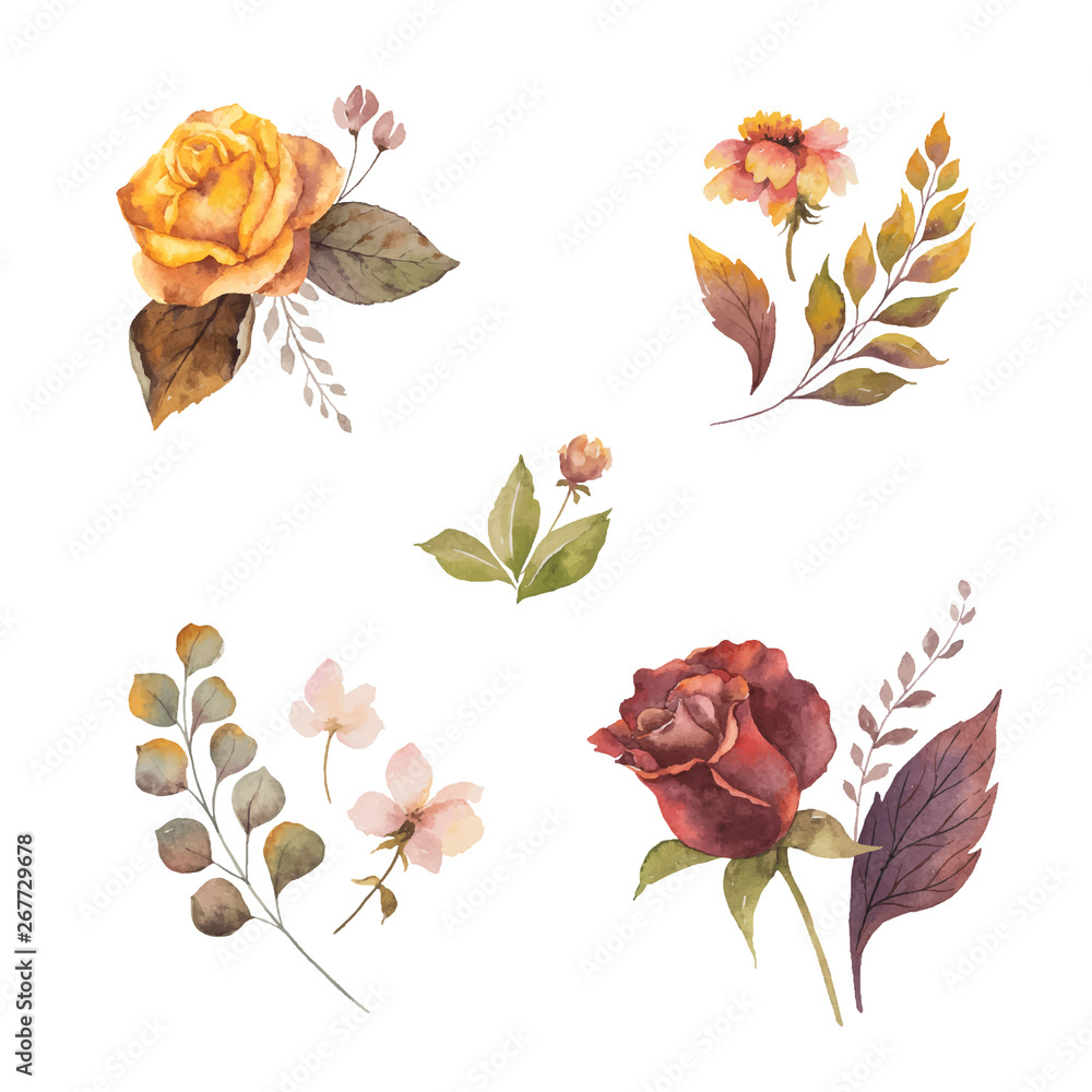 Watercolor vector autumn set with roses and leaves isolated on white ...