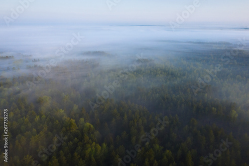Misty Forest Landscape Aerial View Fog In Pine Forest Nature Background Foggy Forest From Above Buy This Stock Photo And Explore Similar Images At Adobe Stock Adobe Stock Misty Forest Landscape Aerial View Fog In Pine Forest Nature Background Foggy Forest From Above Buy This Stock Photo And Explore Similar Images At Adobe Stock Adobe Stock