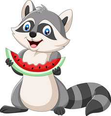 Cartoon raccoon eating watermelon on a white background 