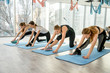 © RomanR - Group of girls is engaged in fitness