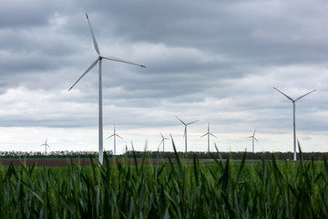 wind turbines in field