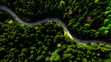 Winding Rural Road Trough Forest. Aerial Top Down Drone View