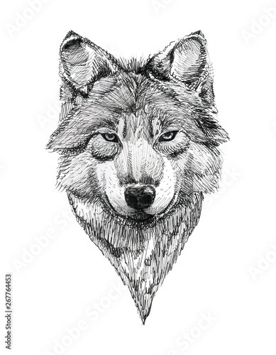Black Ink Tattoo Hand Drawn Wolf Portrait Canvas Print