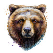 Sketchy colored portrait of a brown bear looking ahead against a white background.