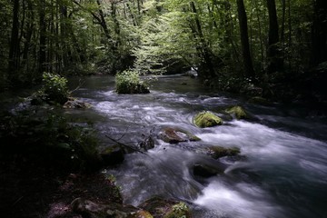  《奥入瀬渓流》青森県十和田市