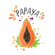 Vector Hand Draw Colored Papaya Illustration. Orange, Yellow Papaya With Pulp And Fruit Bones And Green Leaves. Fresh Tropical Fruits Illustration With Papaya On White Background