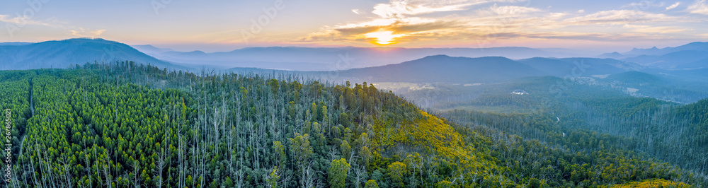 Sunset over mountains and forest in Yarra Ranges National Park - aerial panoramic landscape - obrazy, fototapety, plakaty 