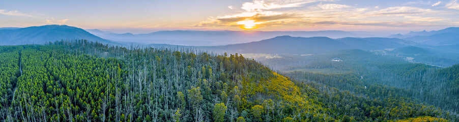 Wall Mural - Sunset over mountains and forest in Yarra Ranges National Park - aerial panoramic landscape