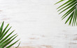 Green nature tropical palm leaves on grunge white wood background. Top view with copy space. Summer background concept.