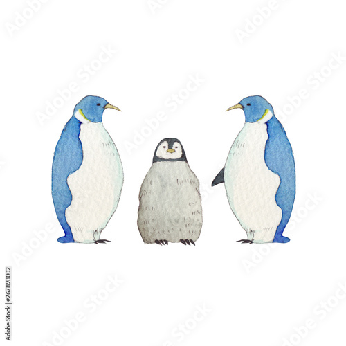 夏 冬 コウテイペンギン 家族 動物 水彩 イラスト Buy This Stock Illustration And Explore Similar Illustrations At Adobe Stock Adobe Stock