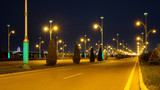 Fototapeta Zwierzęta - Ashgabat, Turkmenistan, empty street at night