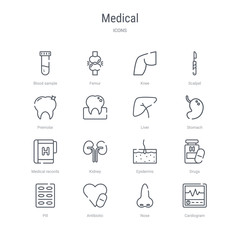 Wall Mural - set of 16 medical concept vector line icons such as cardiogram, nose, antibiotic, pill, drugs, epidermis, kidney, medical records. 64x64 thin stroke icons