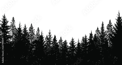 Abstract Background Forest Wilderness Landscape Pine Tree Silhouettes Template For Your Design Works Vector Illustration Buy This Stock Vector And Explore Similar Vectors At Adobe Stock Adobe Stock