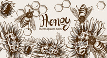 Honey, Bees And Sunflowers Vector Line Art Card. Retro Vintage Old Effect Styles