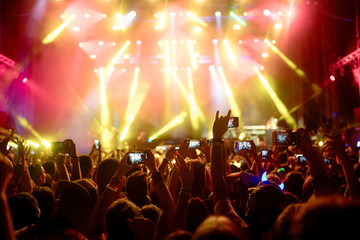 Wall Mural - Portrait of happy crowd enjoying at music festival