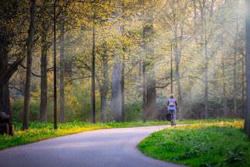 beautiful parks in autumn fall season