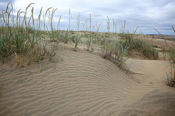 Wall Mural - desert landscape / sand desert, no people, dune landscape