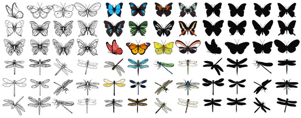 Wall Mural - vector isolated set of multicolored butterflies and dragonflies