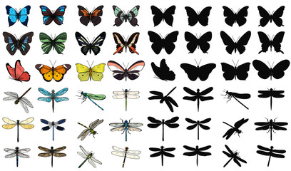 Wall Mural - isolated set of multicolored butterflies and dragonflies on a white background